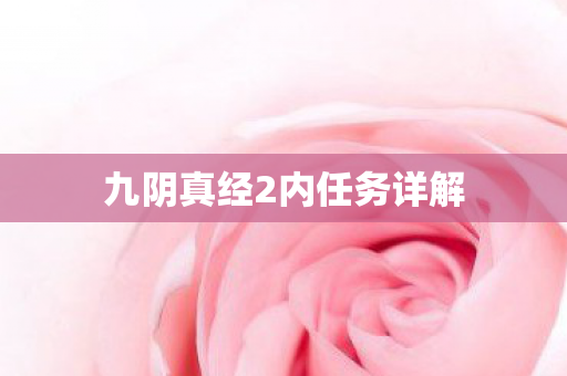 九阴真经2内任务详解图片