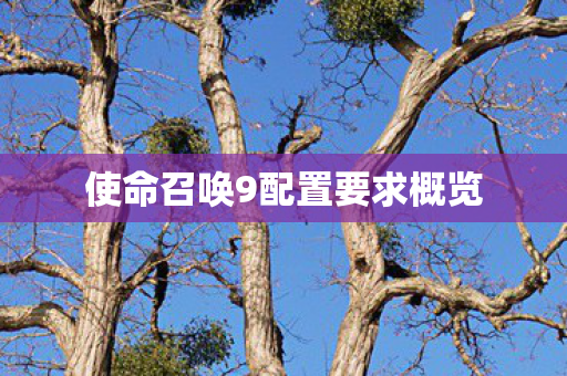 使命召唤9配置要求概览图片