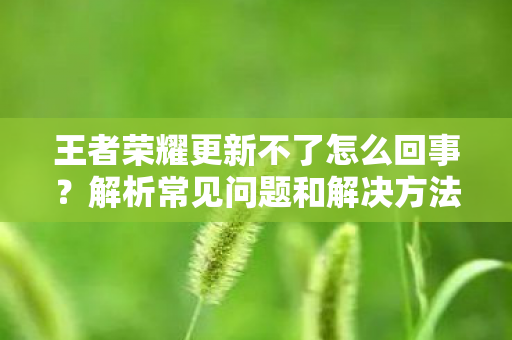 王者荣耀更新不了怎么回事图片