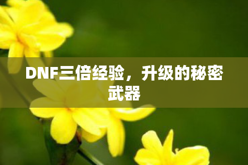 DNF三倍经验图片
