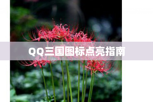 QQ三国图标点亮指南图片