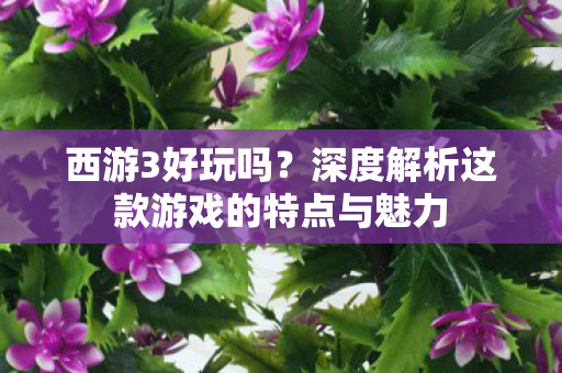 深度解析这款游戏的特点与魅力图片