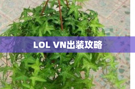 LOL VN出装攻略图片