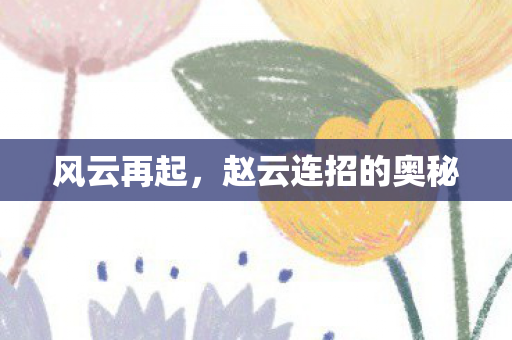 赵云连招的奥秘图片