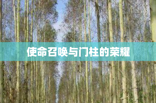 使命召唤与门柱的荣耀图片