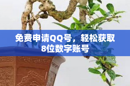 轻松获取8位数字账号图片