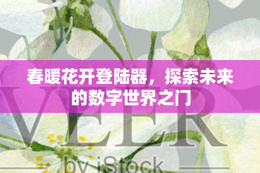 探索未来的数字世界之门图片