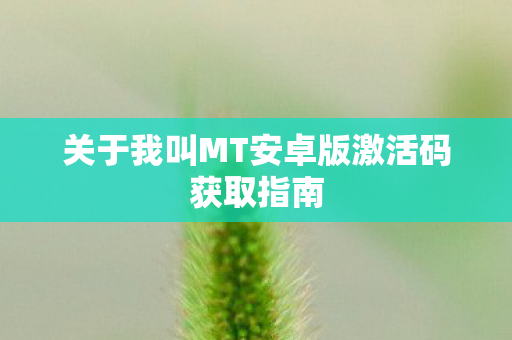 关于我叫MT安卓版激活码获取指南图片