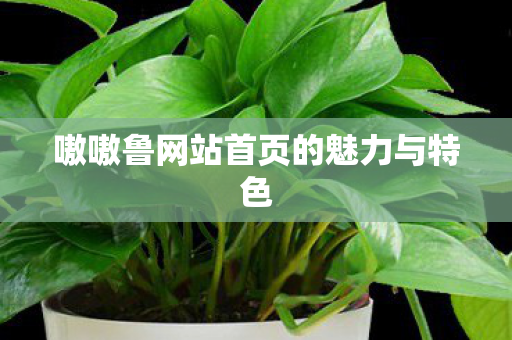 嗷嗷鲁网站首页的魅力与特色图片