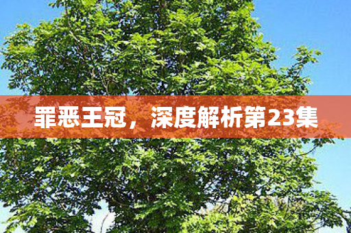 深度解析第23集图片