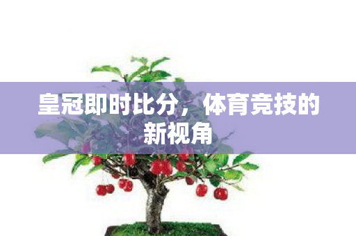 体育竞技的新视角图片