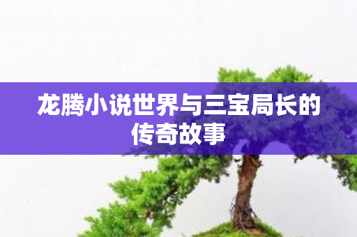 龙腾小说世界与三宝局长的传奇故事图片