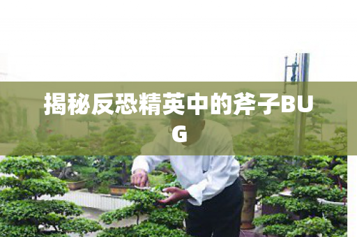 揭秘反恐精英中的斧子BUG图片