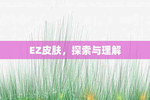 探索与理解图片
