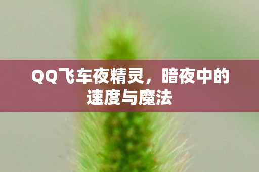 暗夜中的速度与魔法图片