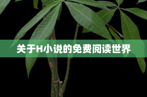 关于H小说的免费阅读世界图片