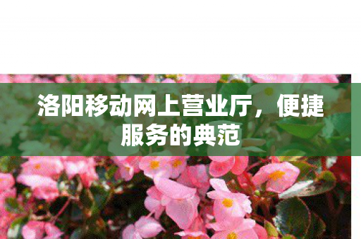 洛阳移动网上营业厅图片