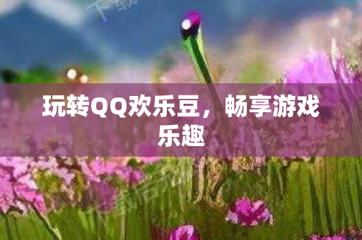 玩转QQ欢乐豆图片