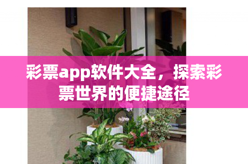 探索彩票世界的便捷途径图片