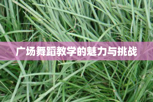 广场舞蹈教学的魅力与挑战图片