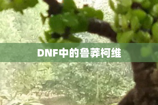 DNF中的鲁莽柯维图片