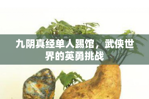武侠世界的英勇挑战图片