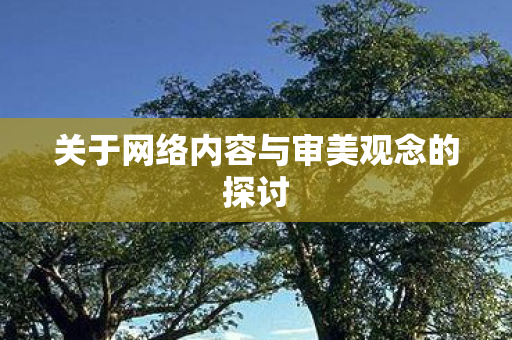 关于网络内容与审美观念的探讨图片