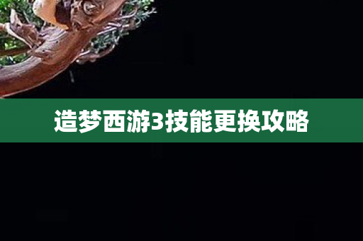 造梦西游3技能更换攻略图片