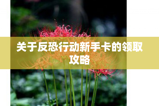 关于反恐行动新手卡的领取攻略图片