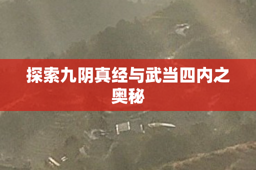 探索九阴真经与武当四内之奥秘图片