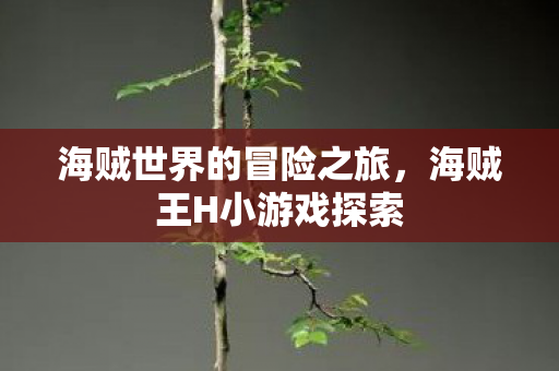 海贼世界的冒险之旅图片