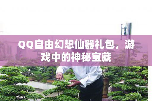 QQ自由幻想仙器礼包图片