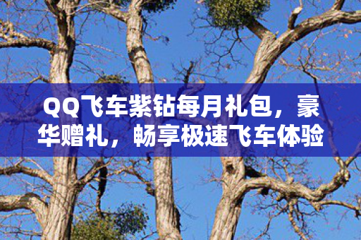 QQ飞车紫钻每月礼包图片