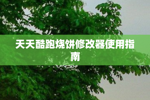 天天酷跑烧饼修改器使用指南图片