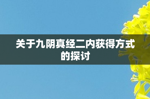 关于九阴真经二内获得方式的探讨图片