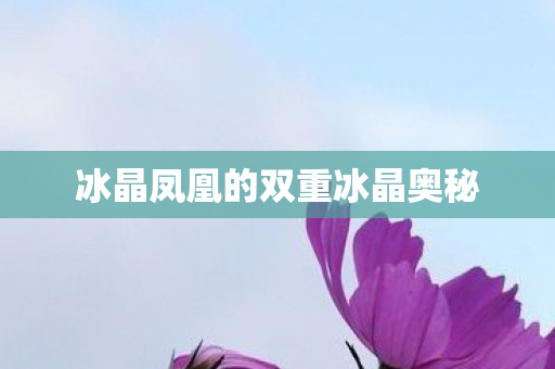 冰晶凤凰的双重冰晶奥秘图片