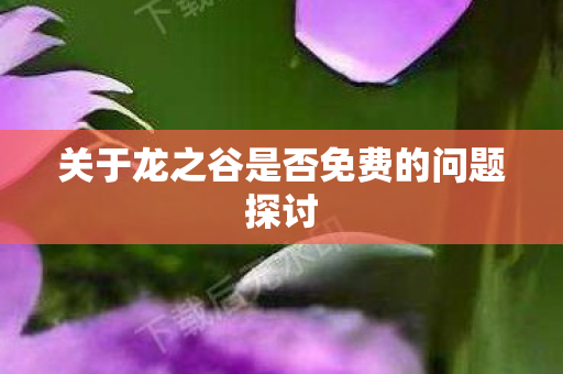 关于龙之谷是否免费的问题探讨图片