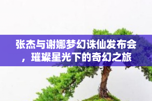 张杰与谢娜梦幻诛仙发布会图片