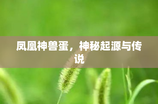 神秘起源与传说图片