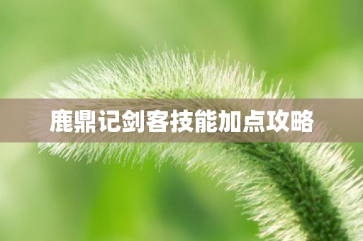 鹿鼎记剑客技能加点攻略图片
