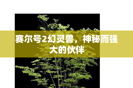 神秘而强大的伙伴图片
