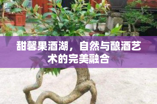 自然与酿酒艺术的完美融合图片