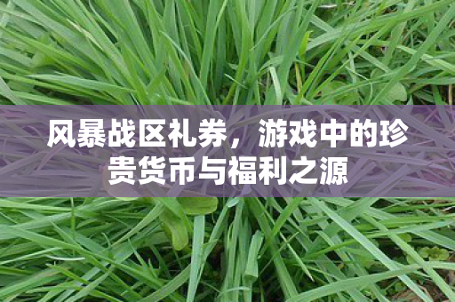 游戏中的珍贵货币与福利之源图片