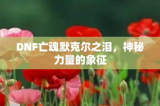 DNF亡魂默克尔之泪图片