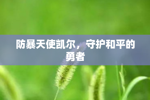 守护和平的勇者图片