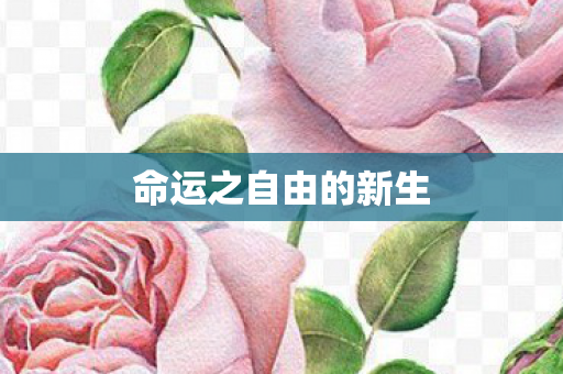 命运之自由的新生图片