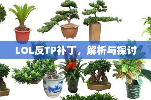 LOL反TP补丁图片