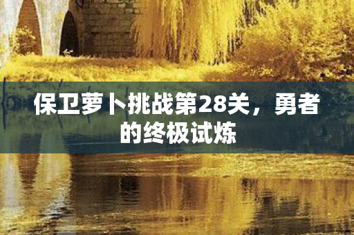保卫萝卜挑战第28关图片