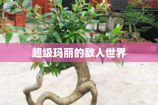 超级玛丽的敌人世界图片