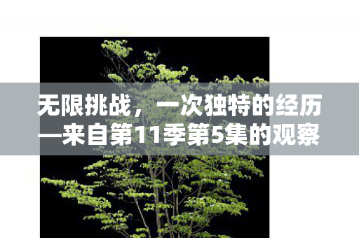 来自第11季第5集的观察报告图片